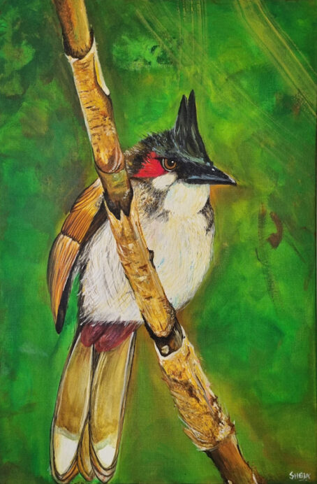 painting of a Red-whiskered bulbul (Condé) from Mauritius on a lush green background